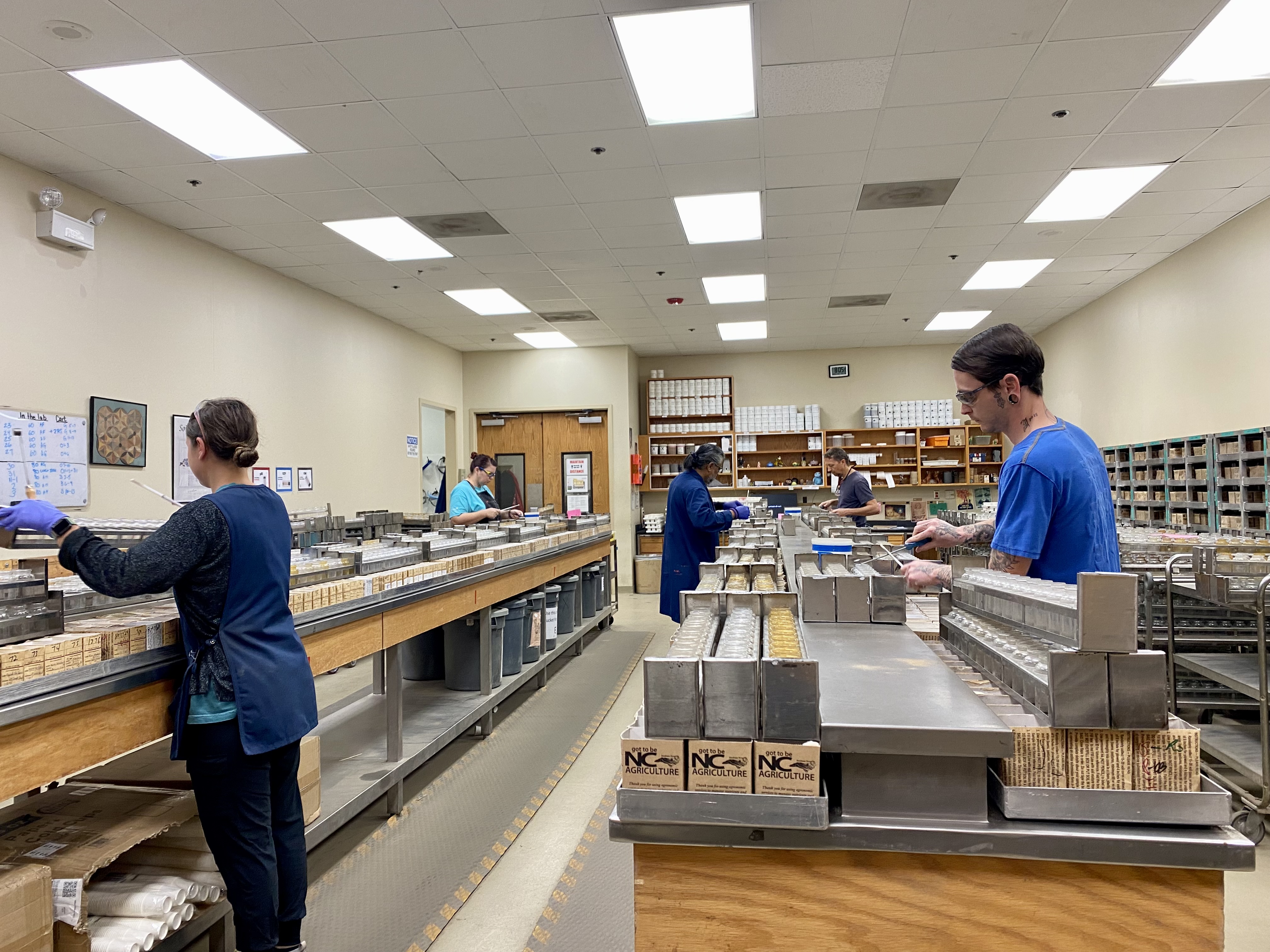 Agronomic Services Soil Testing Collect Samples Nc Agriculture